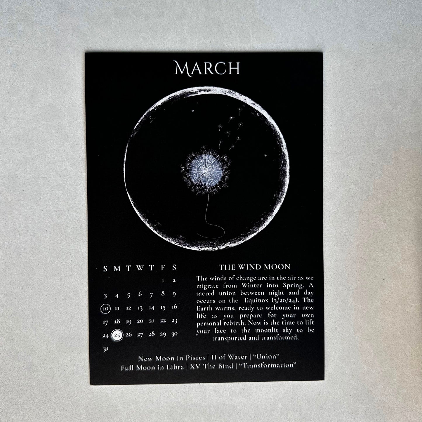 The Sacred Web Tarot 2024 Moon Phase Calendar and Easel